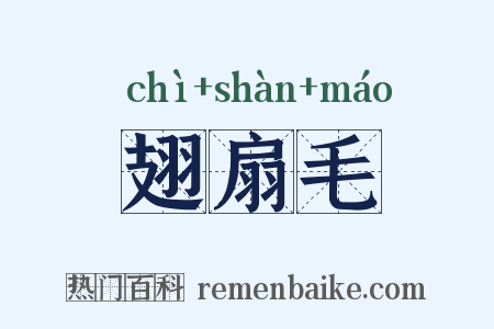 翅扇毛是什么意思的图片